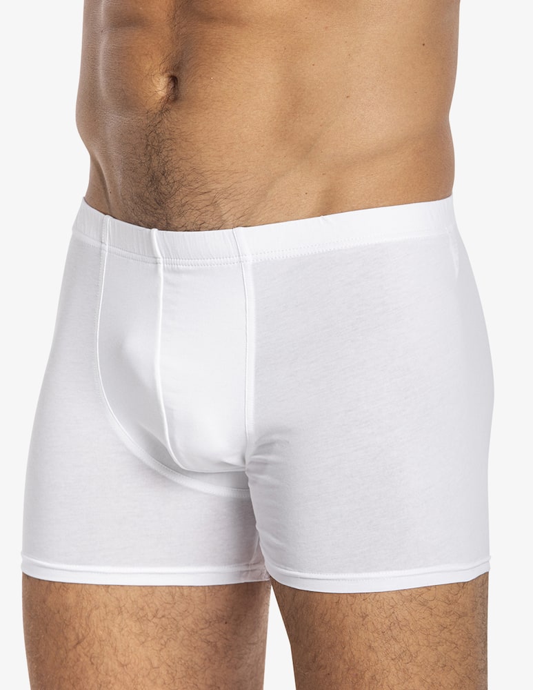 Julipet Icos trunks - picture 1