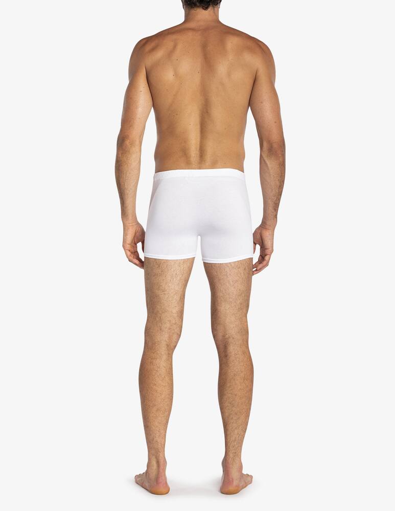 rinascente Julipet Boxer icos