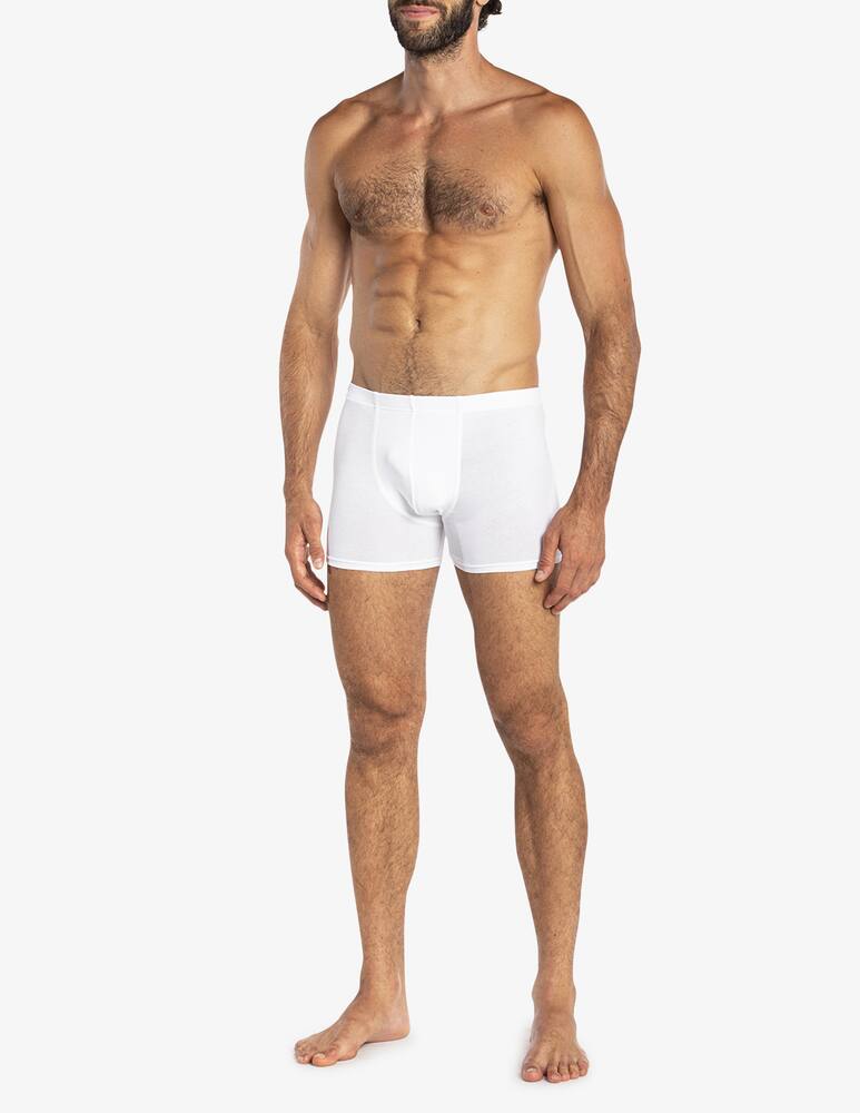 rinascente Julipet Boxer icos