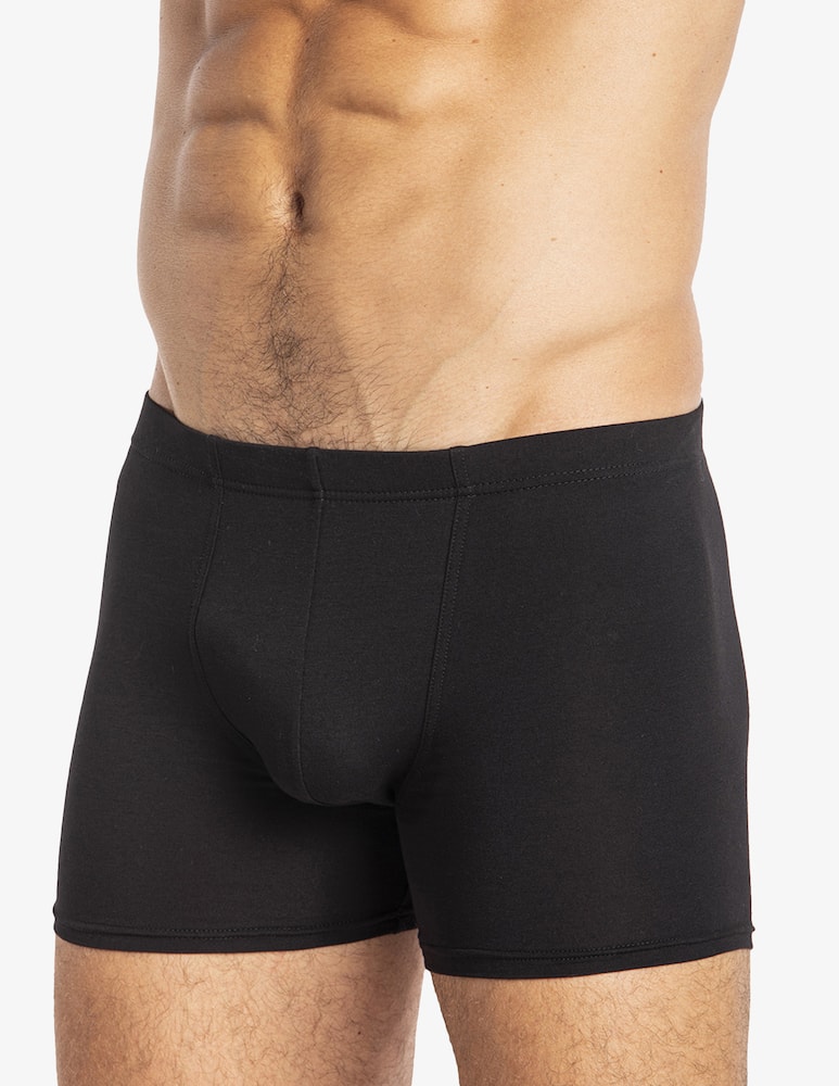 Julipet Ivre trunks - picture 2