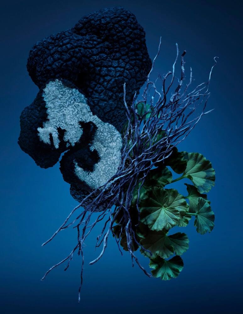 rinascente Carolina Herrera Bad Boy Cobalt Électrique Eau de Parfum