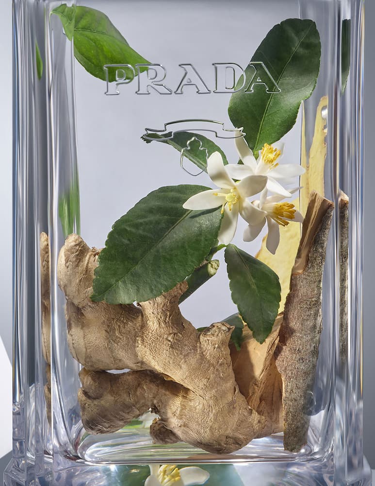 Prada L'Homme Prada Eau de Toilette - immagine 3 Prada L'Homme Prada Eau de Toilette - immagine 3