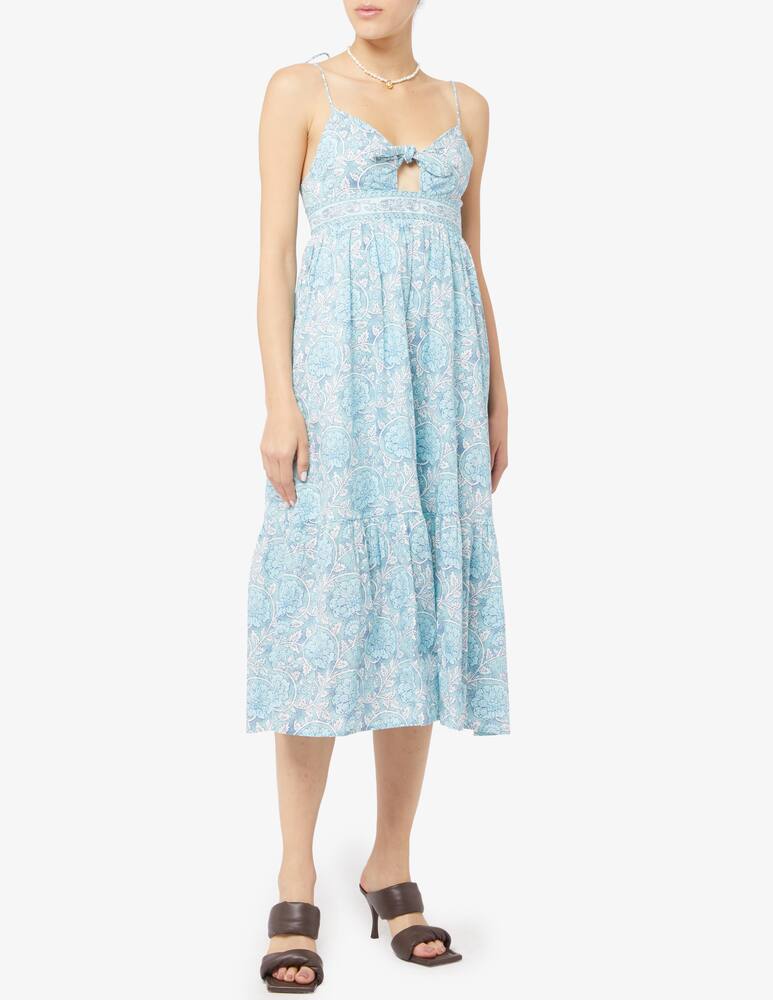 rinascente Pepe Jeans Mallory print maxi dress