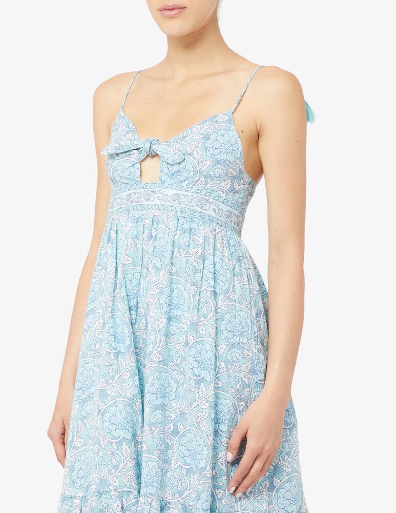 rinascente Pepe Jeans Mallory print maxi dress