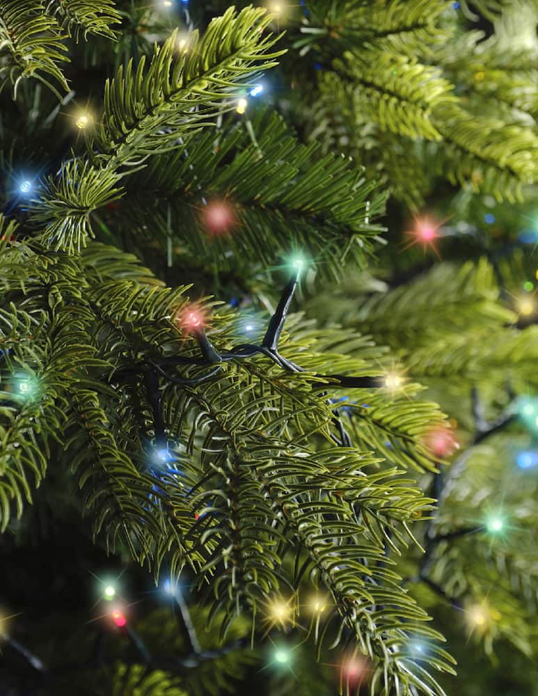 rinascente Kaemingk Lumineo Led Compact 8 Funz. Effetto Twinkle Outdoor 1600cm