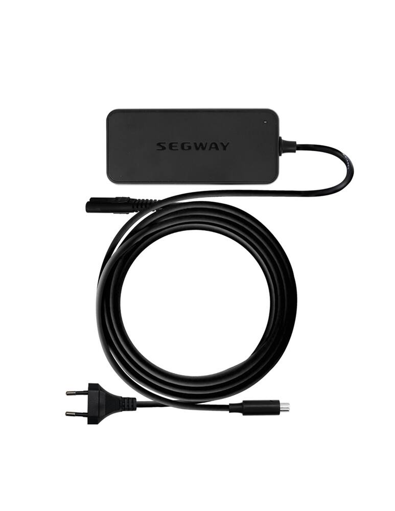 rinascente Segway Caricabatterie per monopattini - Nero