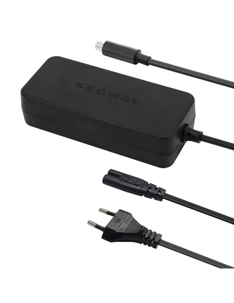 rinascente Segway Caricabatterie per monopattini - Nero