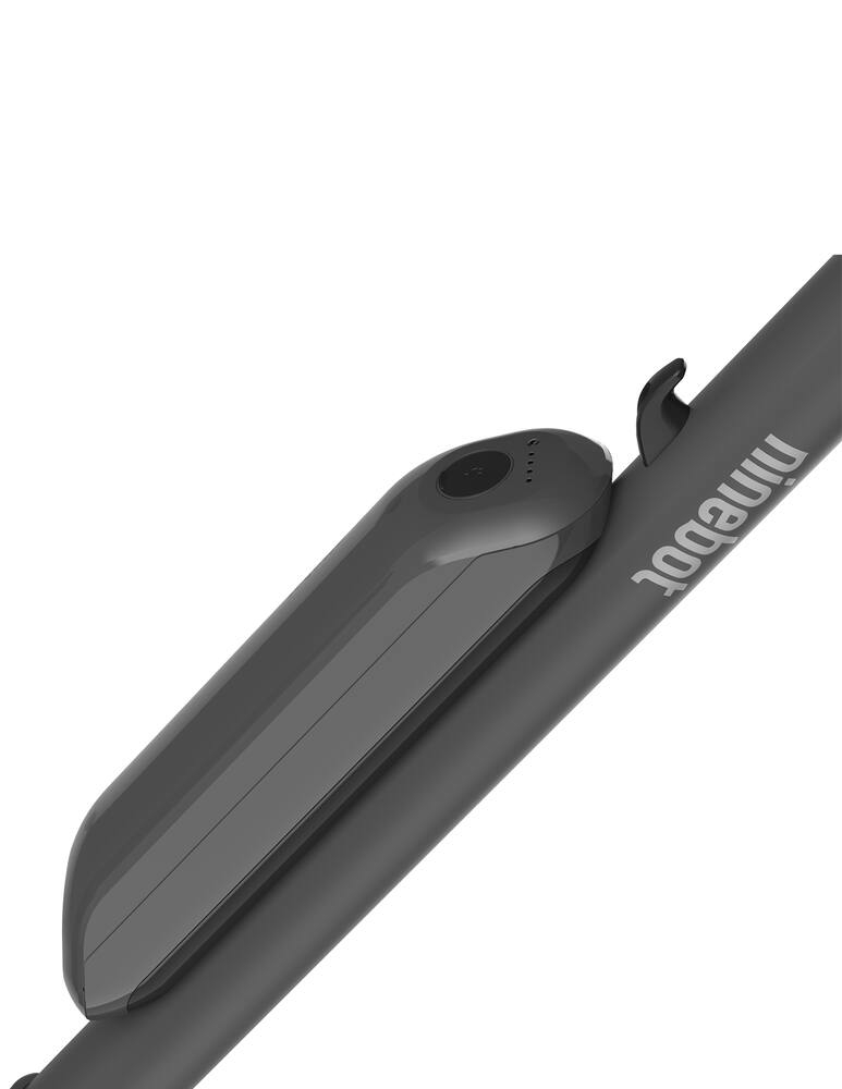 rinascente Segway Batteria supplementare per monopattino E25E Ninebot - Grigio
