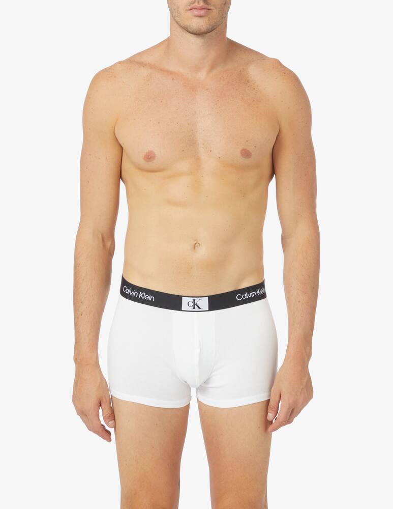 rinascente Calvin Klein Trunk