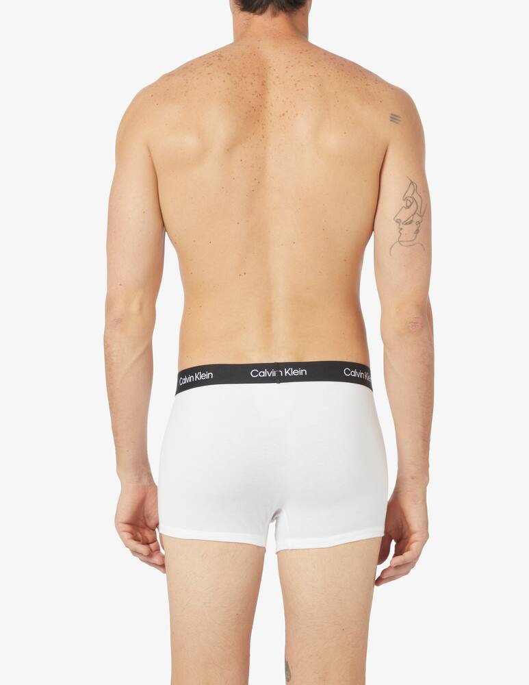 rinascente Calvin Klein Trunk