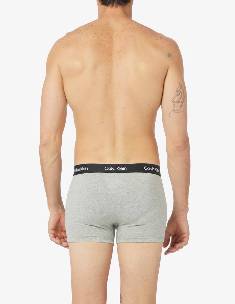 rinascente Calvin Klein Trunk