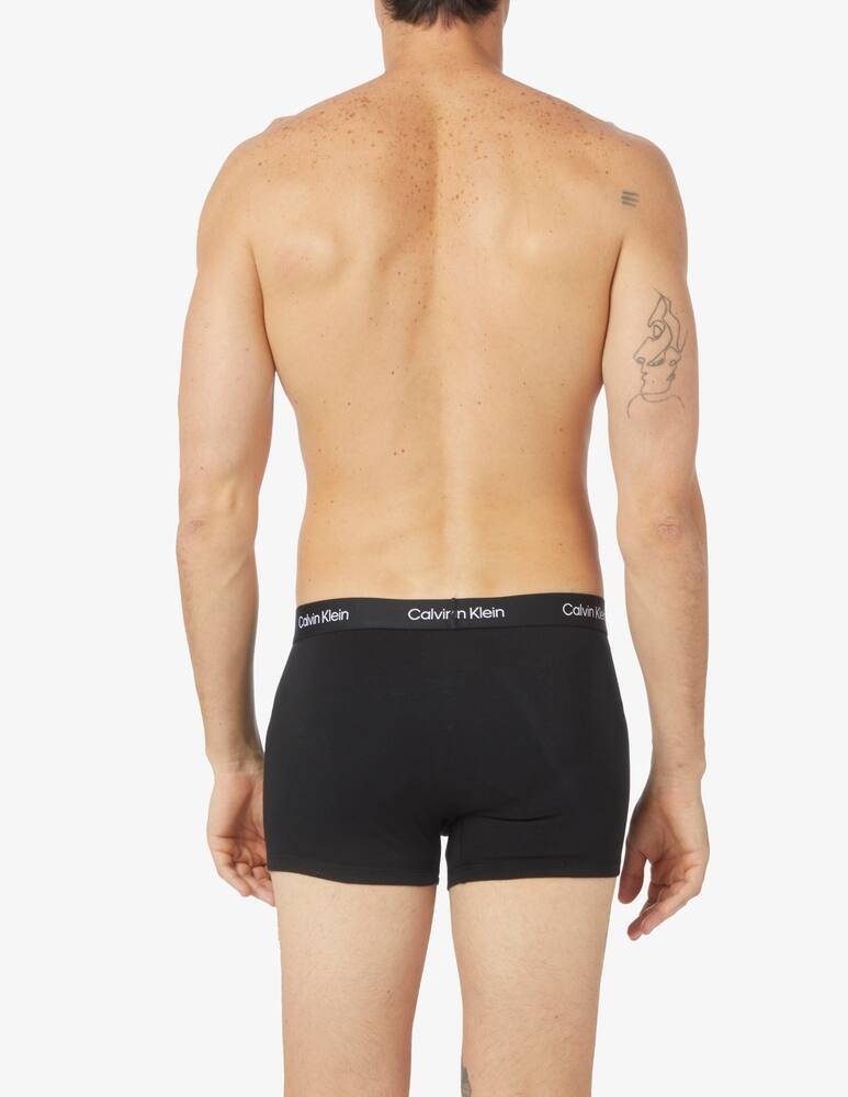 rinascente Calvin Klein Trunk