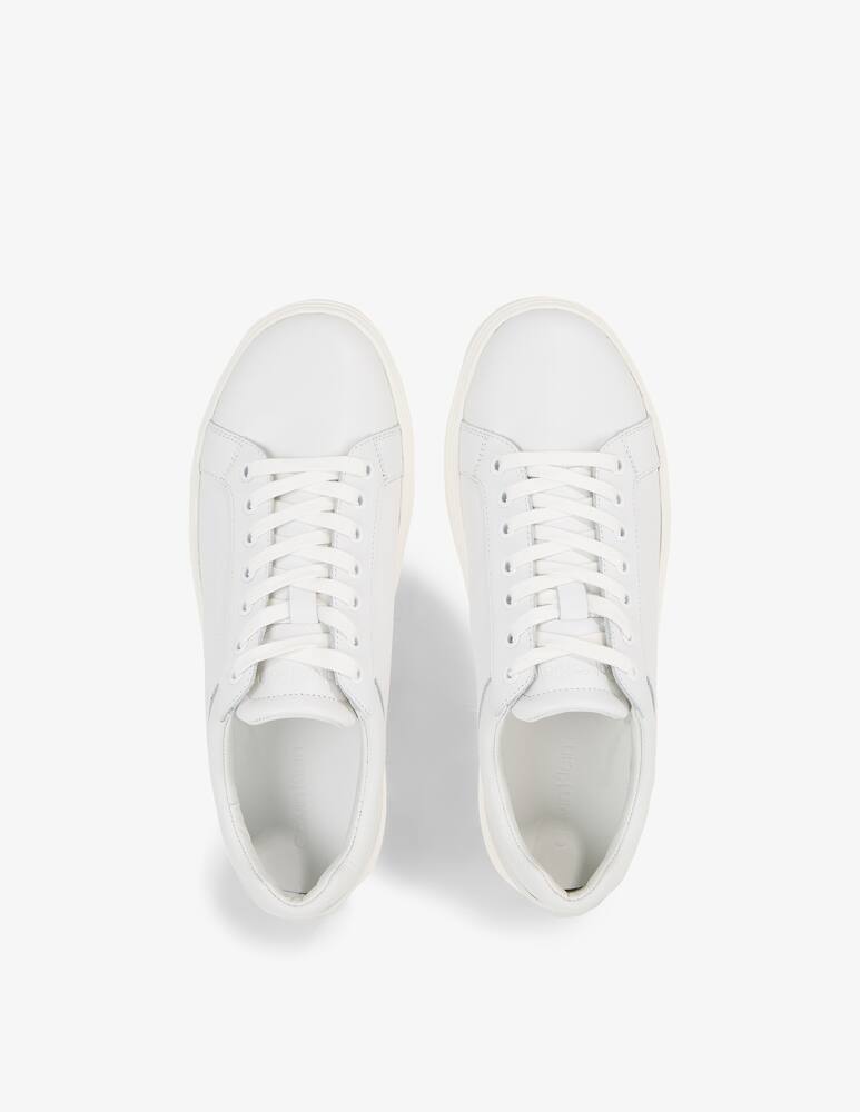 rinascente Calvin Klein Low top lace up archive stripe shoes
