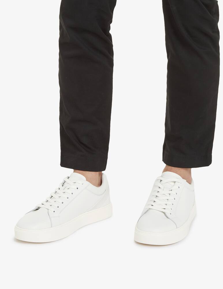 rinascente Calvin Klein Low top lace up archive stripe shoes