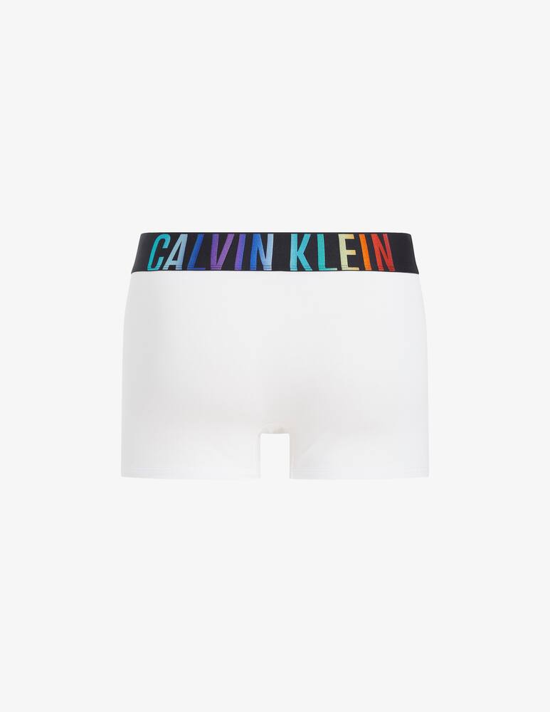 rinascente Calvin Klein Trunk