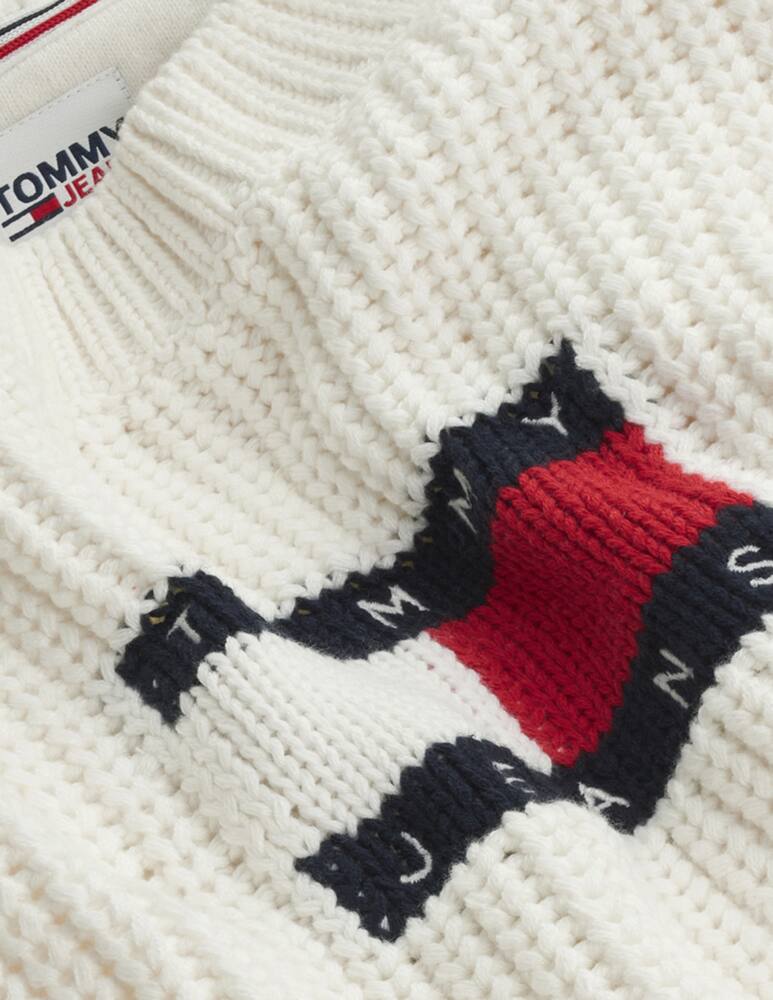 rinascente Tommy Jeans Maglione in cotone