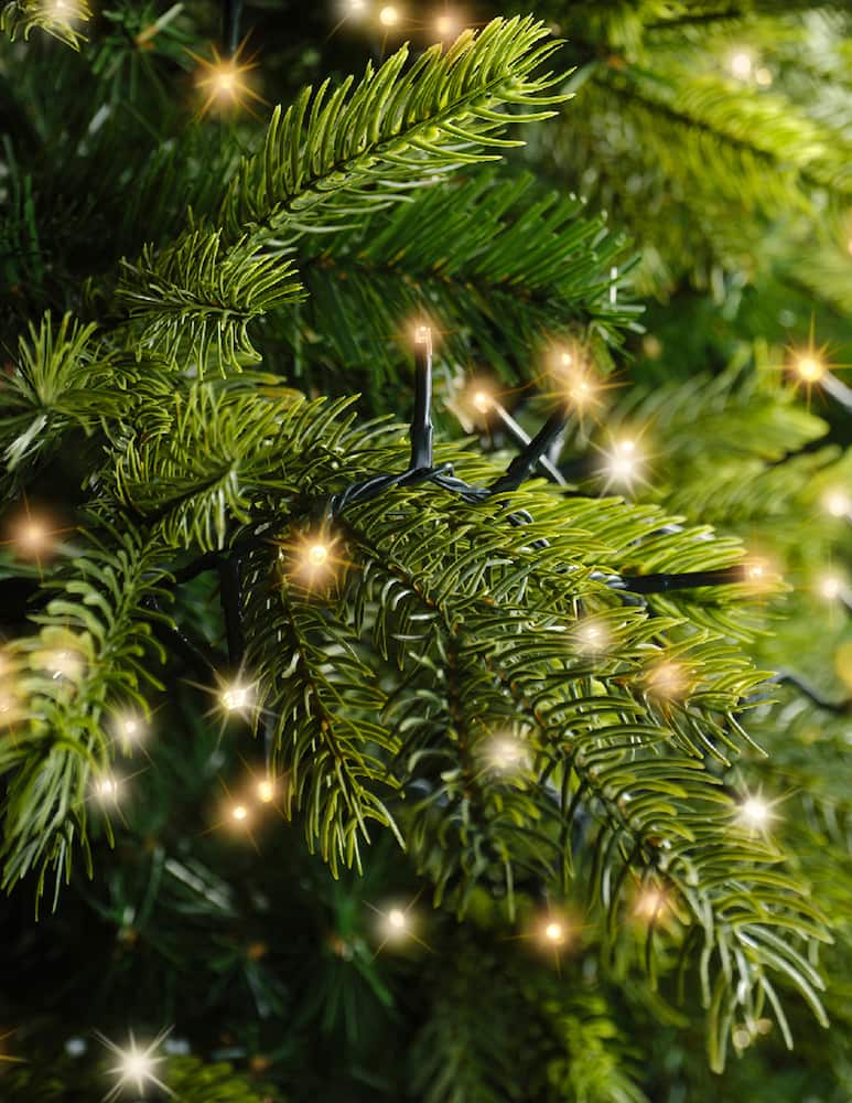 Kaemingk Lumineo LED compact 8 funzioni effetto twinkle outdoor 2250cm - immagine 4 Kaemingk Lumineo LED compact 8 funzioni effetto twinkle outdoor 2250cm - immagine 4