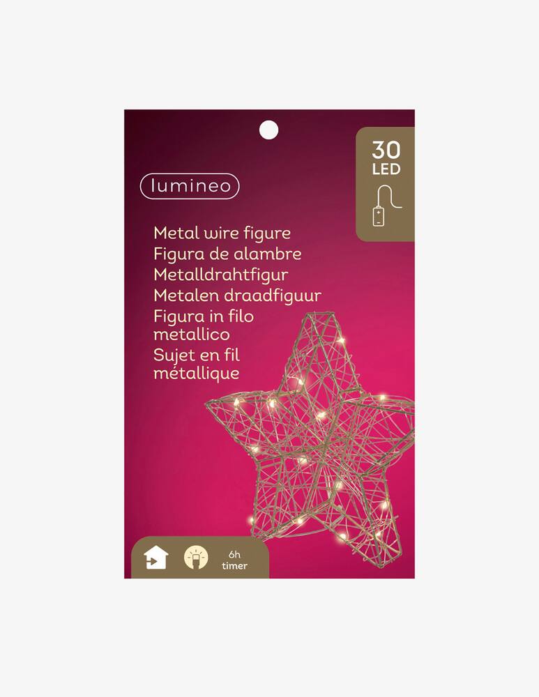 rinascente Kaemingk Micro Led Star Fixed Gold/Warm White 30L Indoor