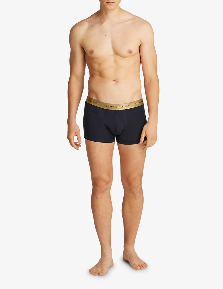 rinascente Tommy Hilfiger 3 pack trunk metallic signature