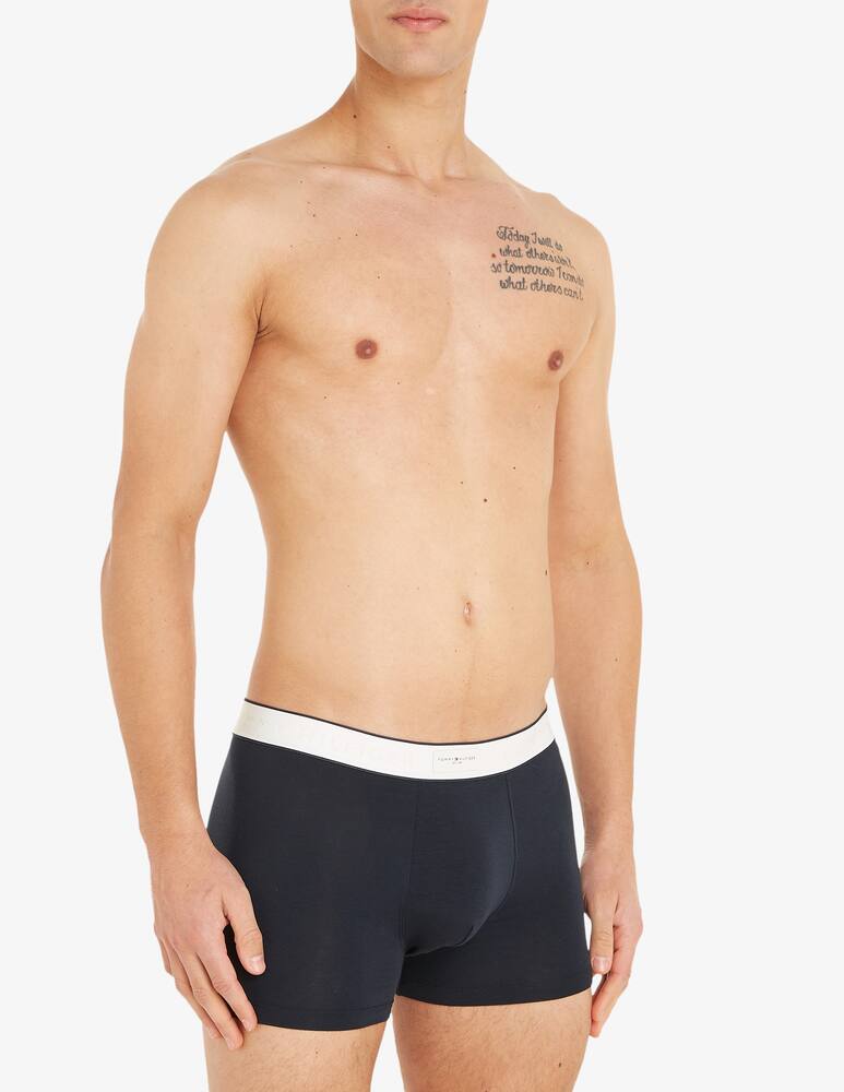 rinascente Tommy Hilfiger Trunk