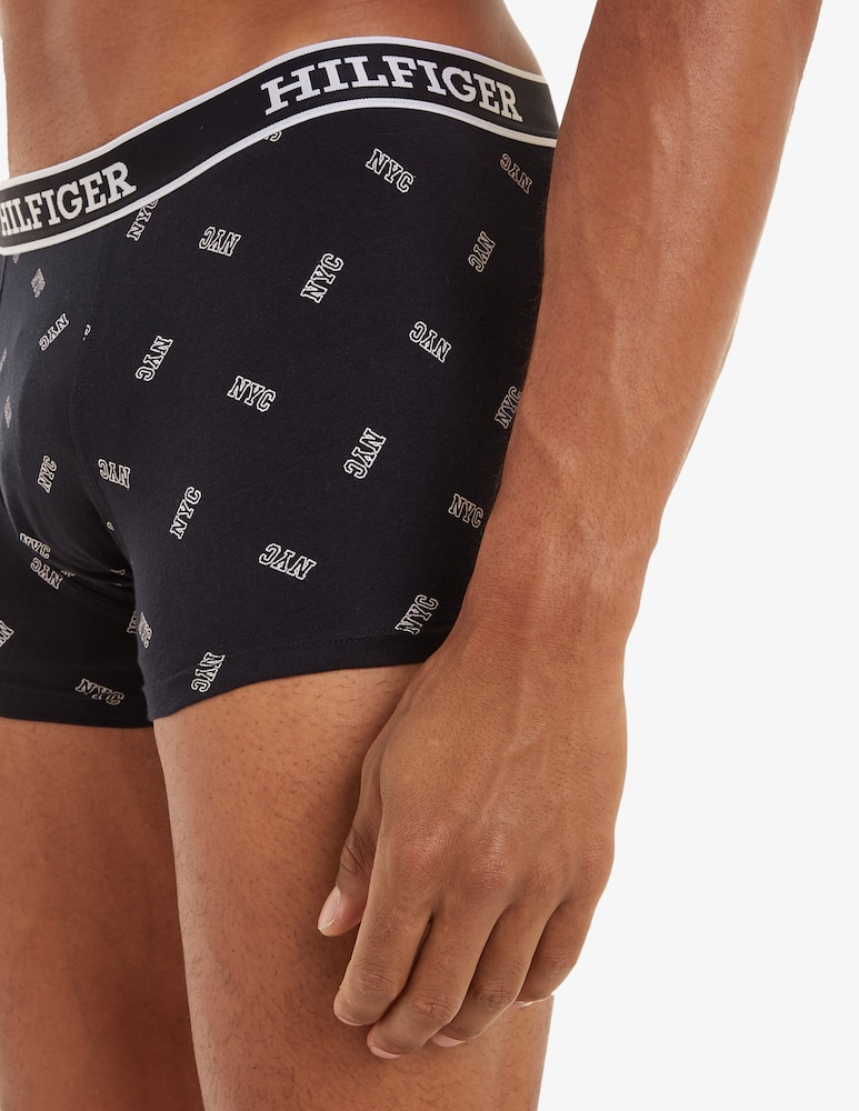 rinascente Tommy Hilfiger 3p trunk print th monotype