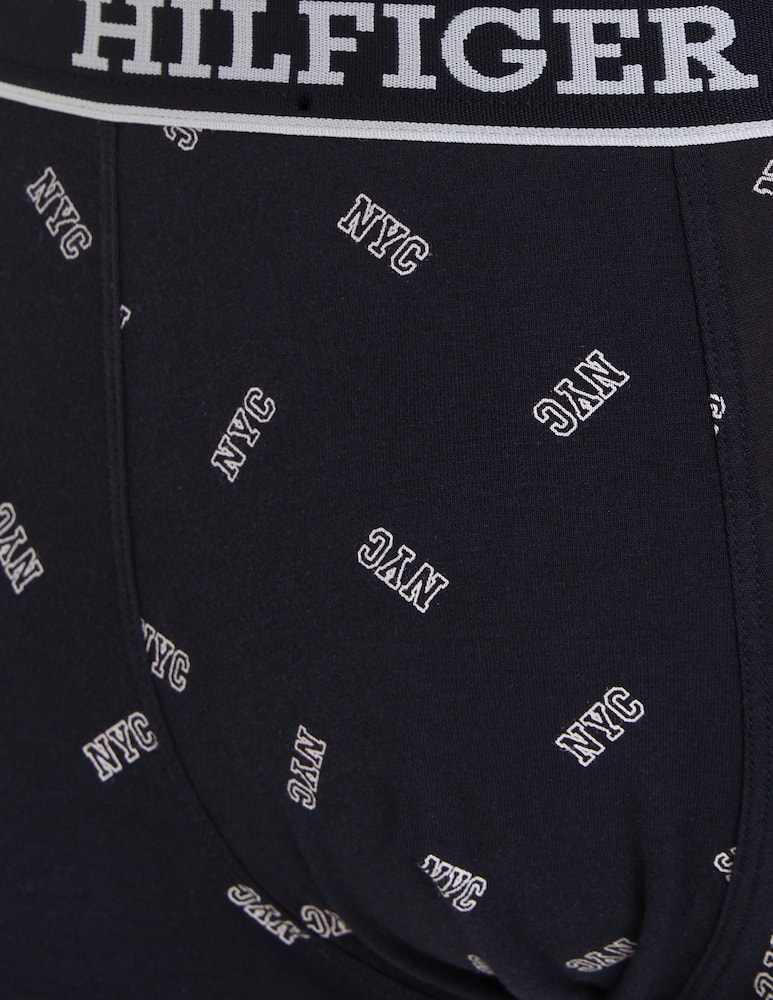 rinascente Tommy Hilfiger 3p trunk print th monotype