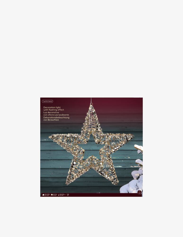 rinascente Kaemingk Outdoor Flash Effect Micro Led Star