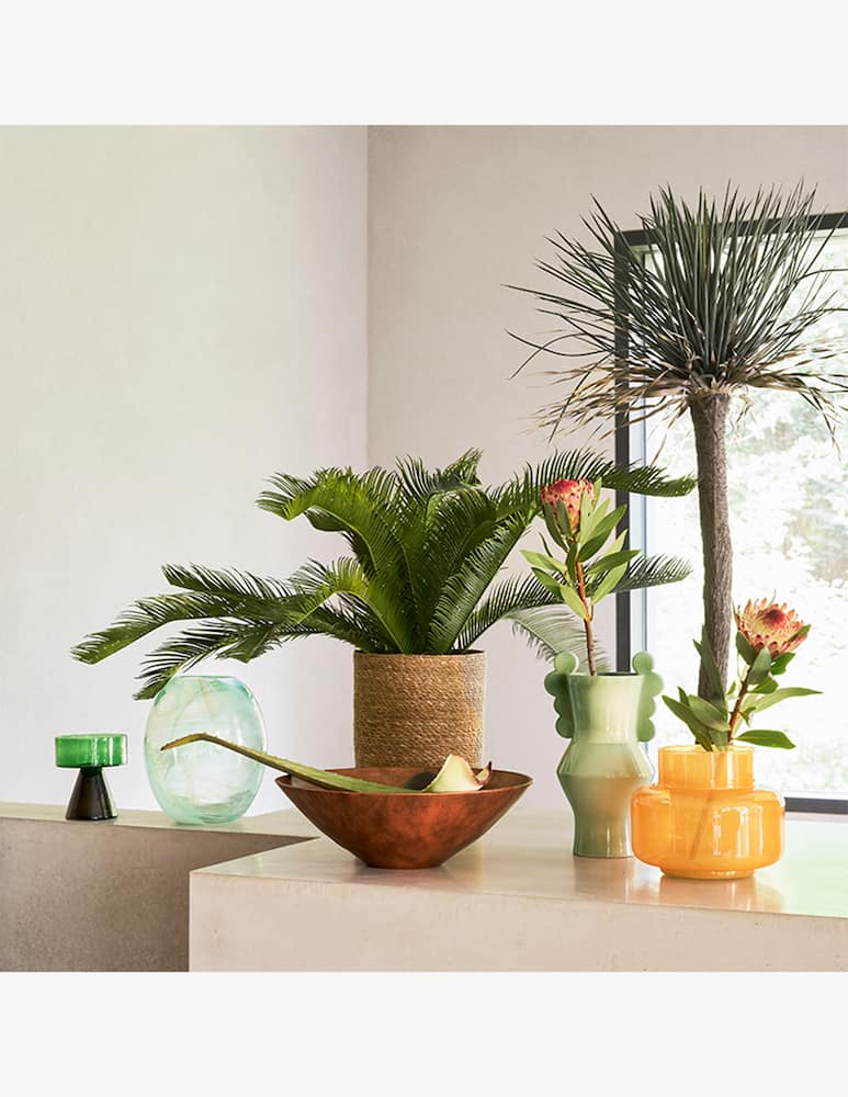 Urban Nature Culture Vaso Nostra - immagine 2 Urban Nature Culture Vaso Nostra - immagine 2