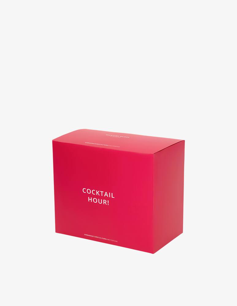 rinascente Urban Nature Culture Martini Cocktail Bicchieri Set 2 Pz In Confezione Regalo