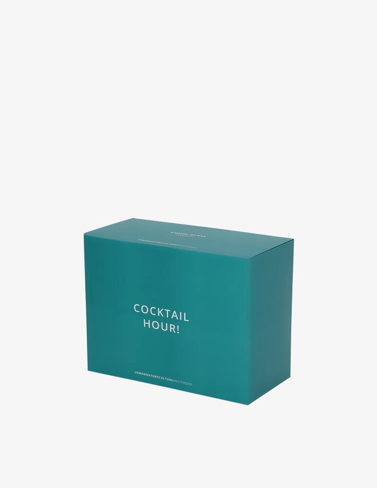 rinascente Urban Nature Culture Coupe Cocktail Glass Set Of 2 In Gift Pack