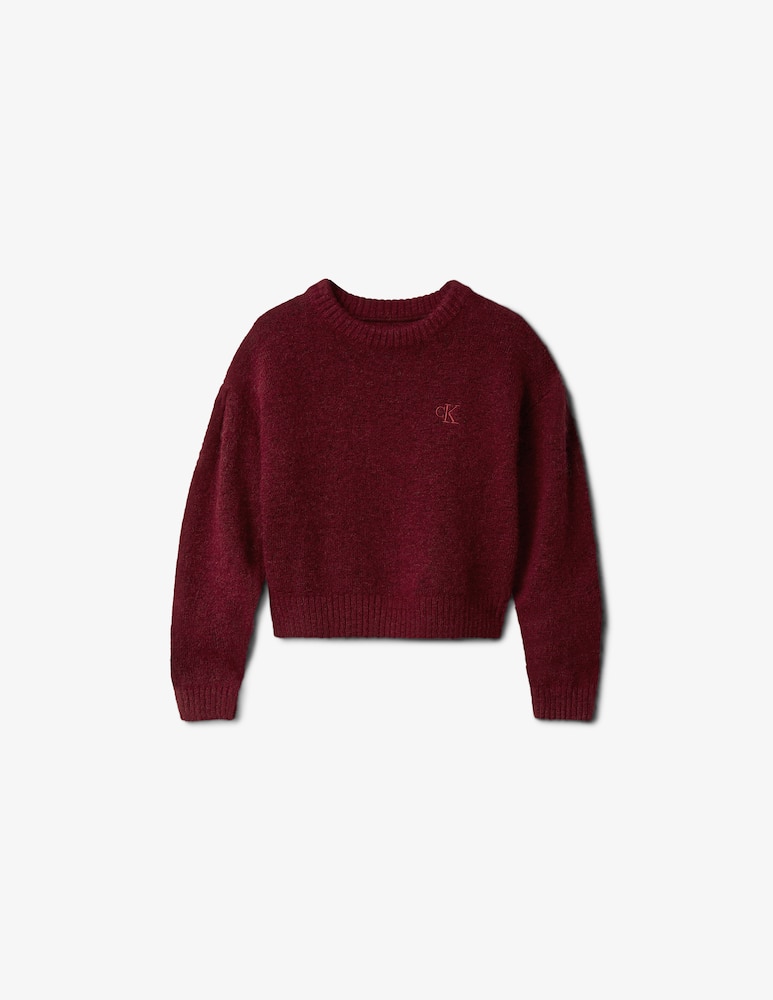 rinascente Calvin Klein Sweater