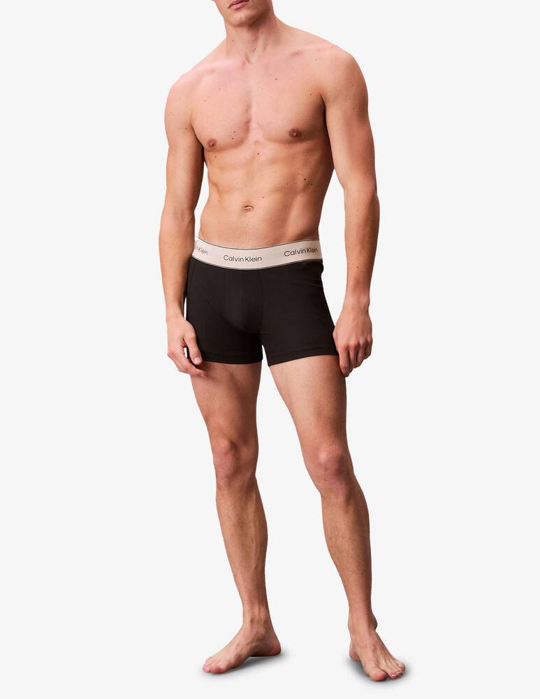 rinascente Calvin Klein Heritage cotton trunk
