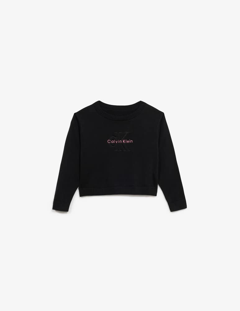 rinascente Calvin Klein Monologo sweater