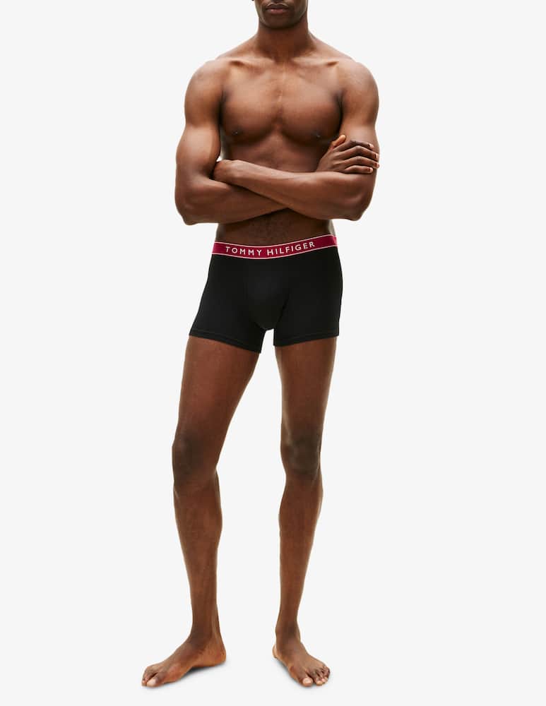 rinascente Tommy Hilfiger Everyday essentials trunk