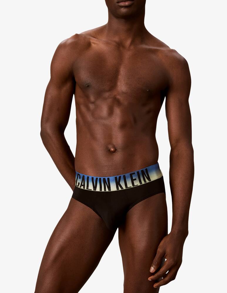 rinascente Calvin Klein Microfibre hip briefs set