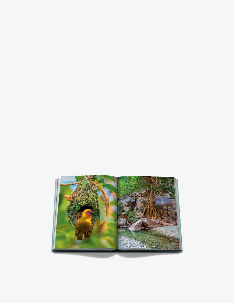 Assouline Book Red Sea: The Saudi Coast - picture 4 Assouline Book Red Sea: The Saudi Coast - picture 4