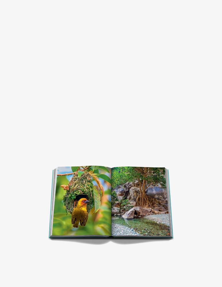 rinascente Assouline Red Sea: The Saudi Coast Book