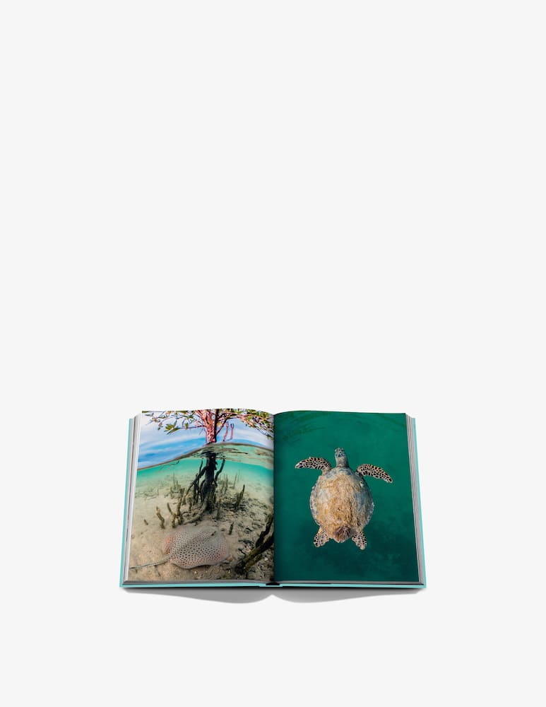 Assouline Book Red Sea: The Saudi Coast - picture 5 Assouline Book Red Sea: The Saudi Coast - picture 5