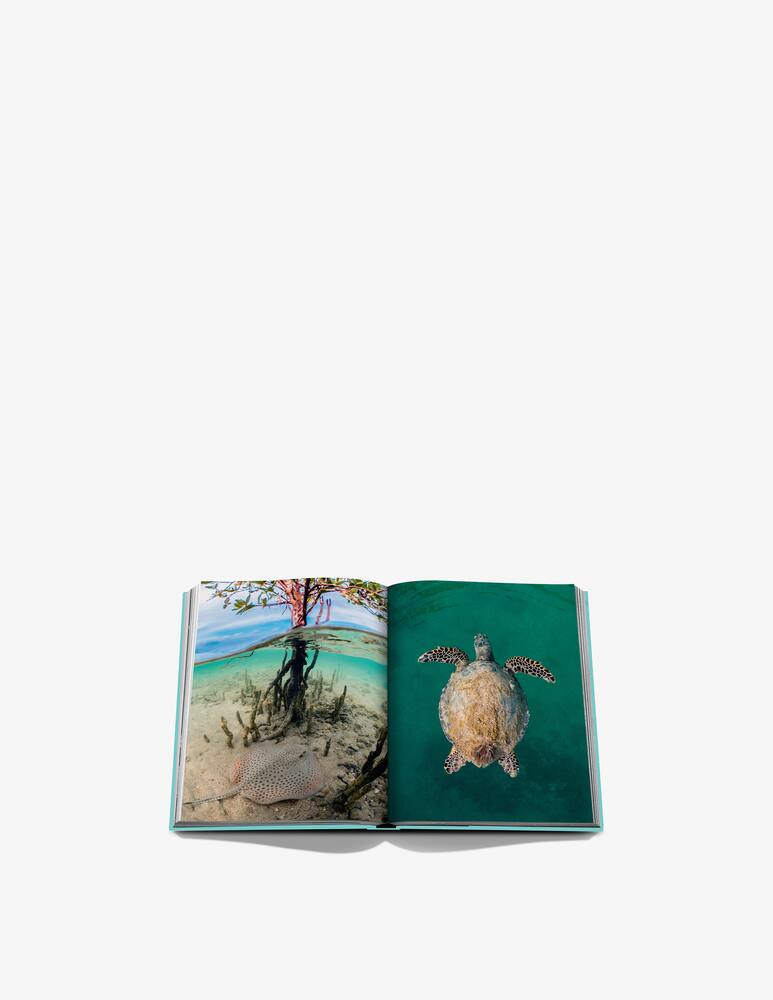 rinascente Assouline Red Sea: The Saudi Coast Book