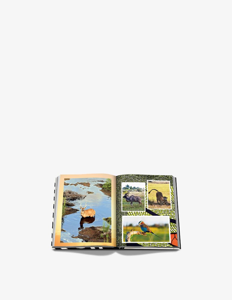 Assouline Book African Adventures - picture 4 Assouline Book African Adventures - picture 4