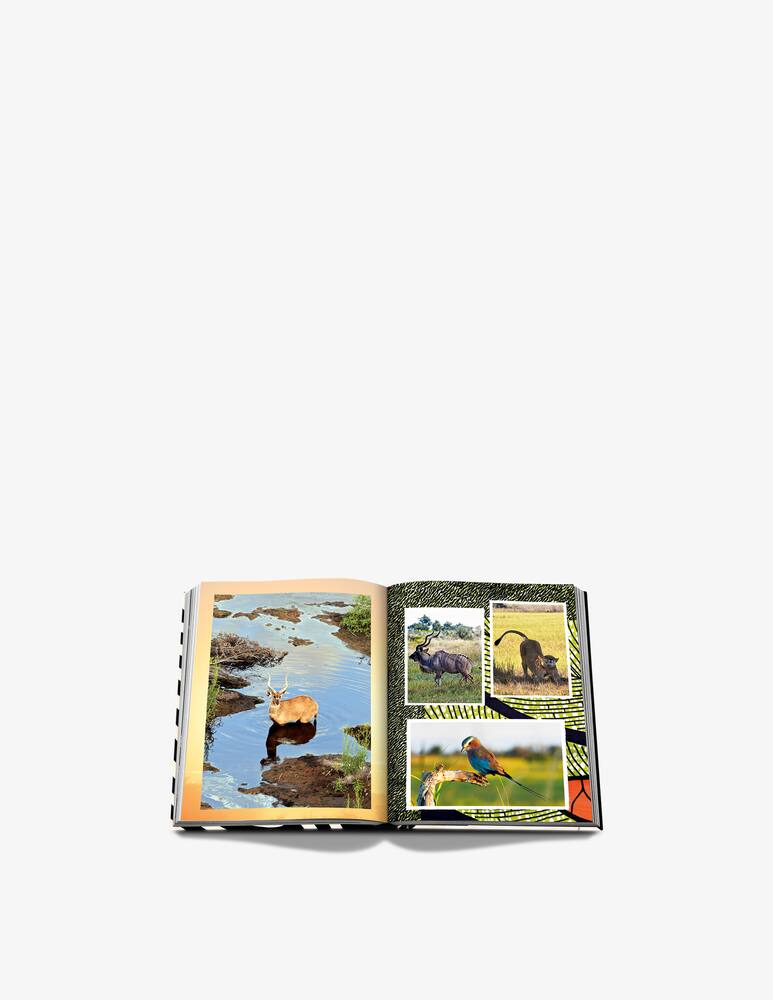 rinascente Assouline African Adventures Book