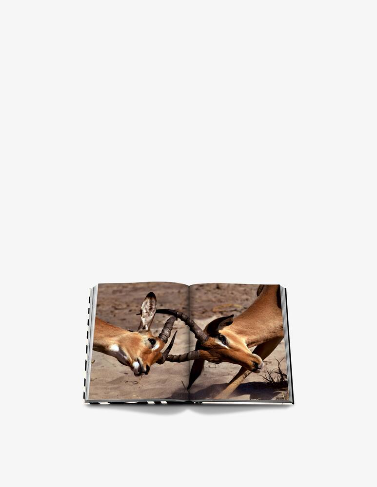 rinascente Assouline African Adventures Book