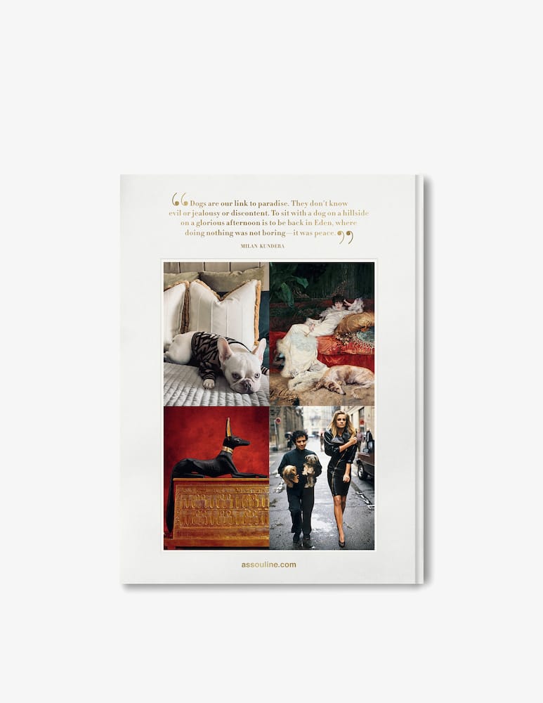 rinascente Assouline Chic Dog