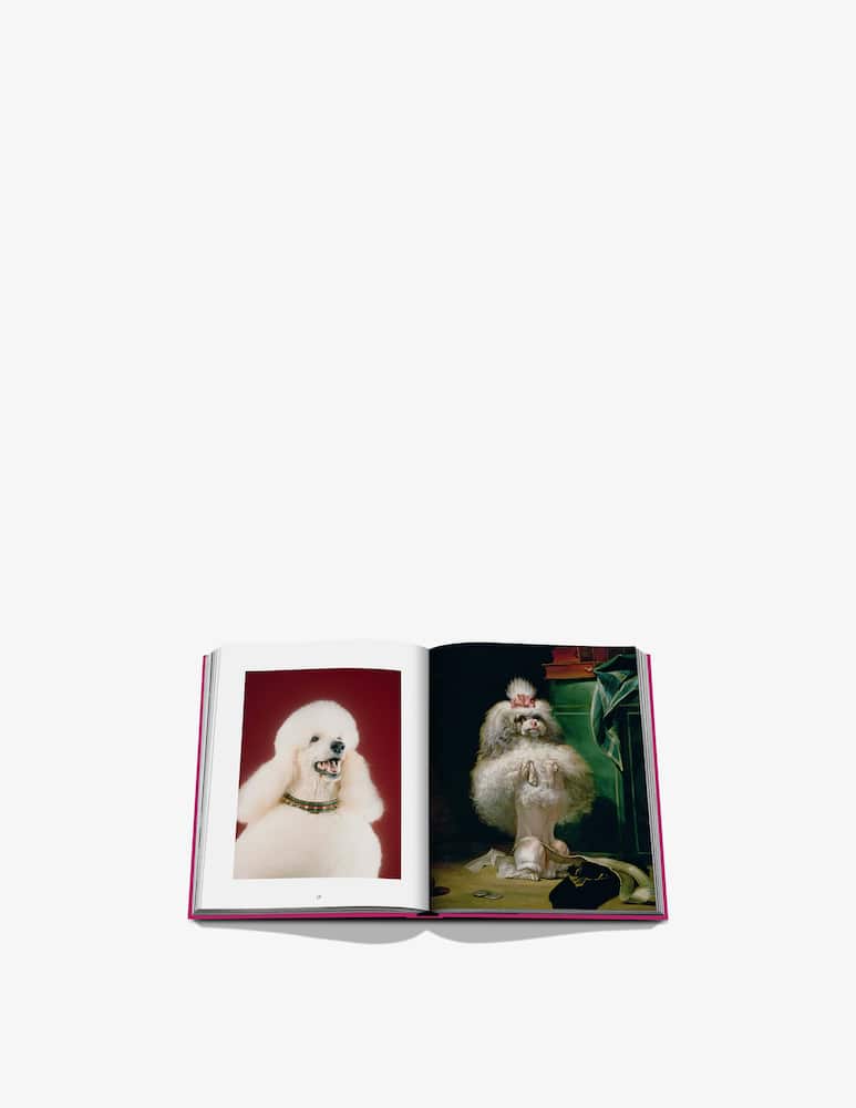 rinascente Assouline Chic Dog