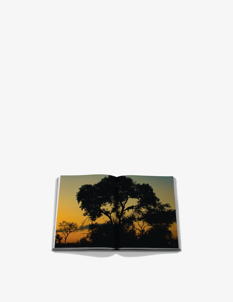 rinascente Assouline Londolozi : The Safari That Changes Everything