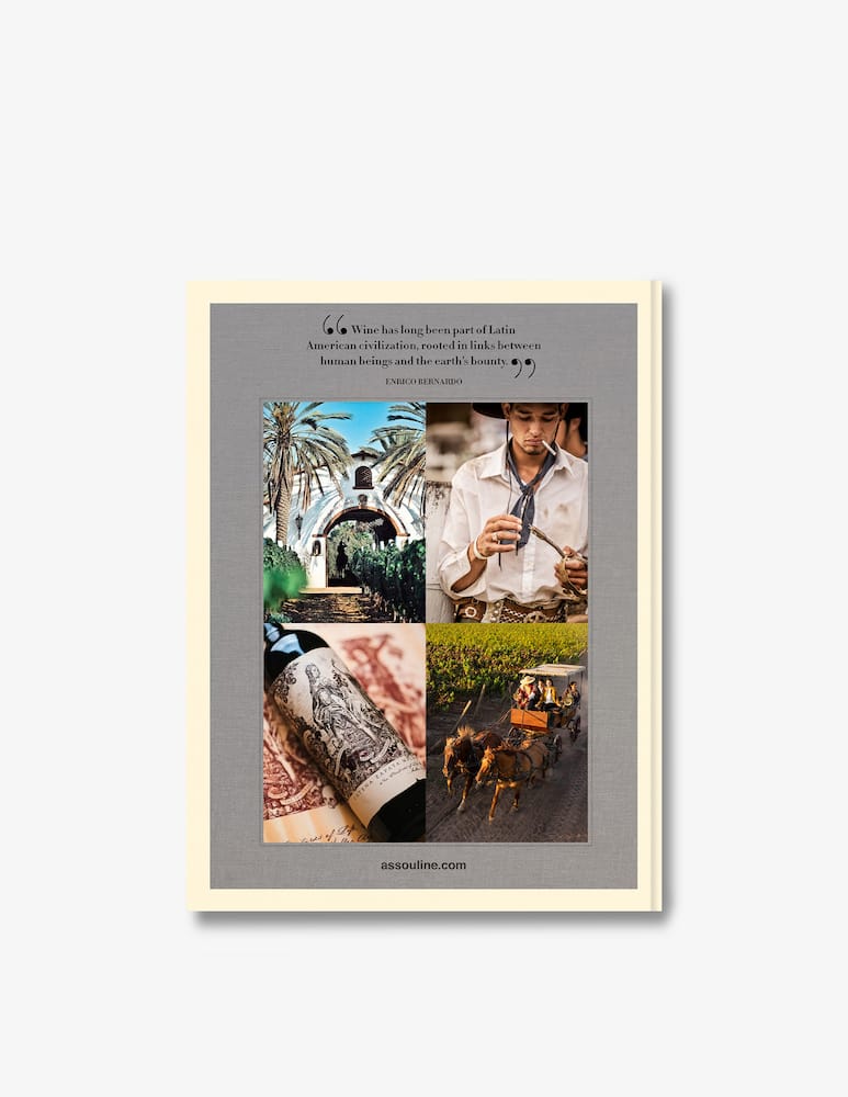 rinascente Assouline Wine & Travel Latin America Libro