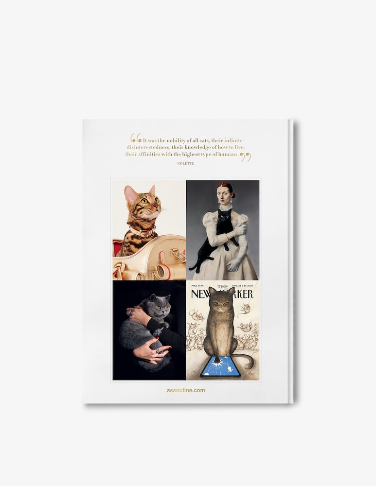 rinascente Assouline Chic Cats