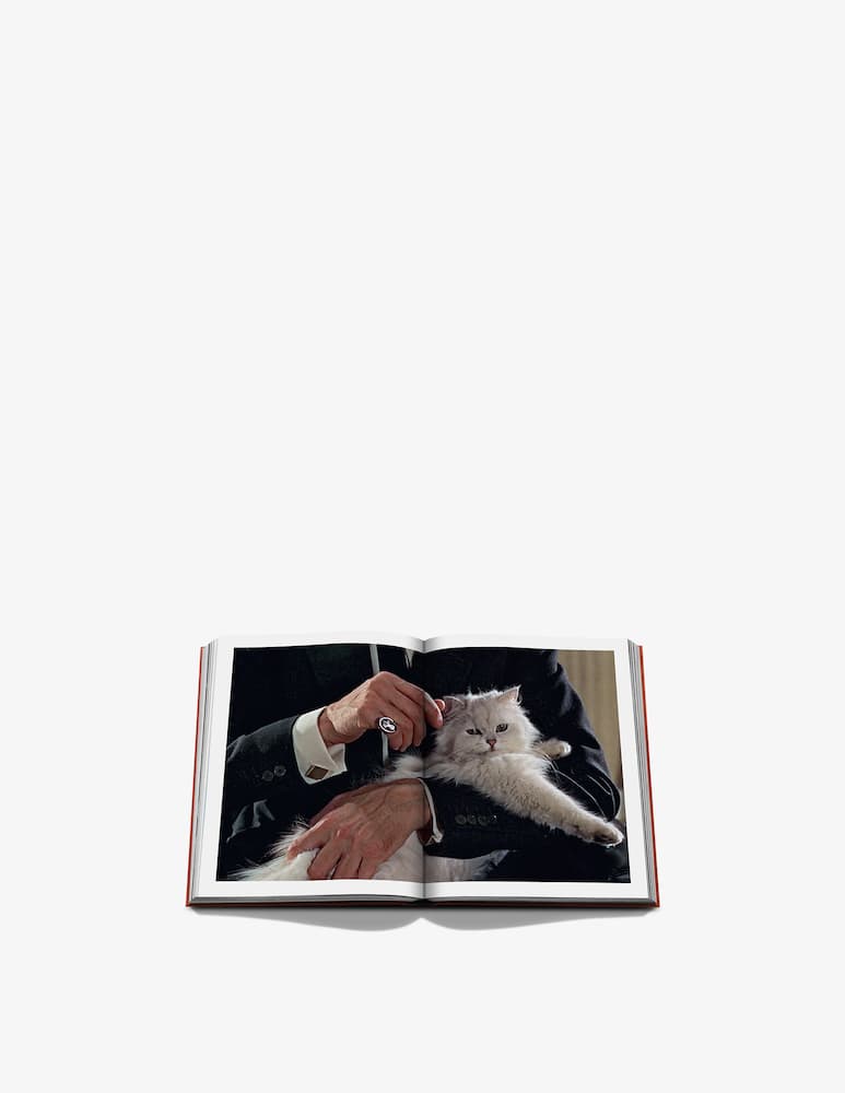 Assouline Chic Cats - picture 4 Assouline Chic Cats - picture 4