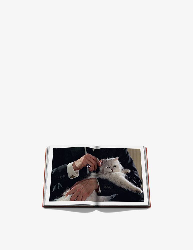 rinascente Assouline Chic Cats