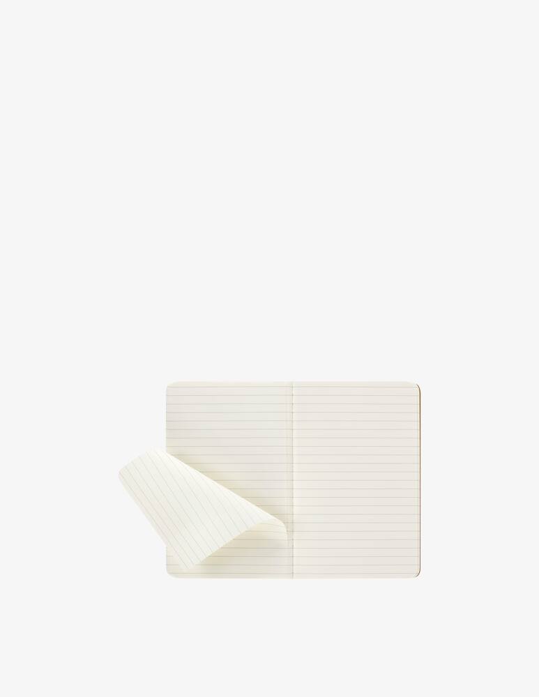 rinascente Moleskine Quaderno Cahier Pocket Righe